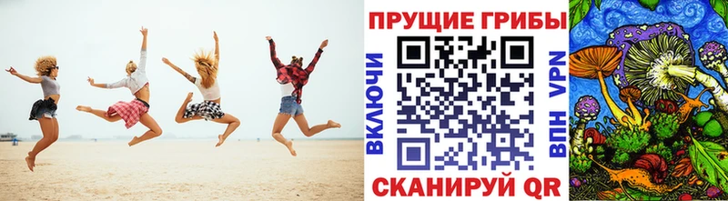 Купить закладки  Пушкино  Галлюциногенные грибы прущие грибы 